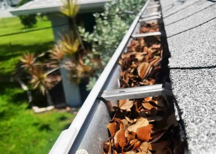 Mount Lebanon gutter cleaning home page